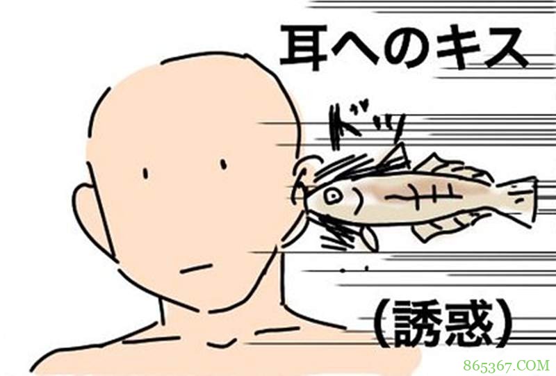 亲吻身体各个部位代表什么意思 让这条“亲吻鱼”告诉你