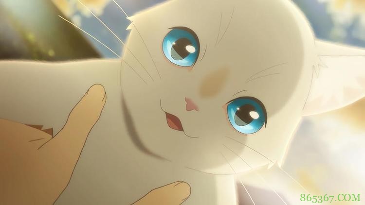 日本最新动画电影《无限》 奇幻青春爱情充满神秘感