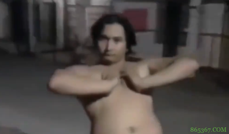 这几个B站视频，用B站的应该都看过吧？新宝岛啊念诗之王啥的