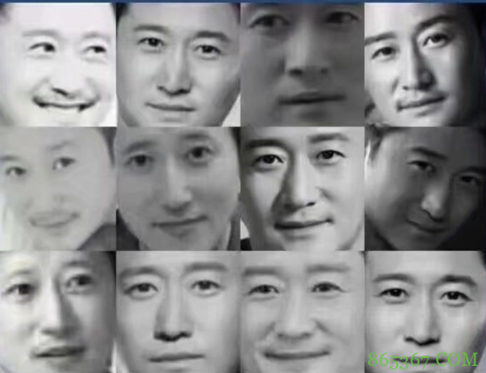 日本人也看春晚，吴京被吐槽像JOJO作者，还被P了替身使者