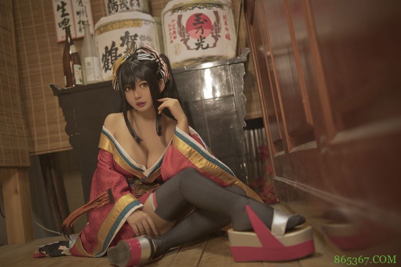 网友个人分类收集13位极品COSER大凤合集【340P/4G】