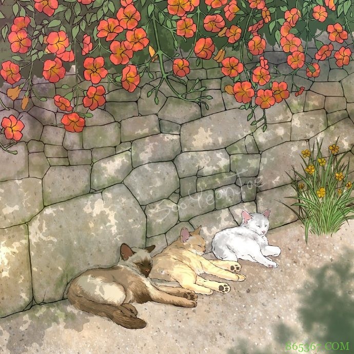 当猫咪遇上大自然,这位画师绘制的图好治愈