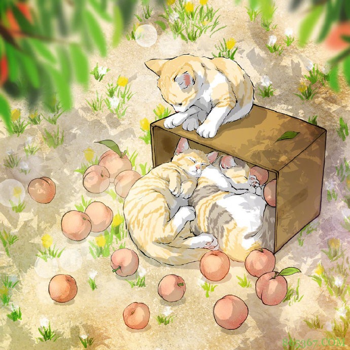 当猫咪遇上大自然,这位画师绘制的图好治愈