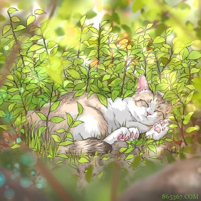 当猫咪遇上大自然,这位画师绘制的图好治愈