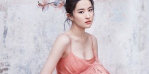 <?php the_title(); ?>