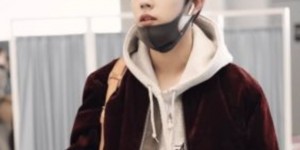 <?php the_title(); ?>