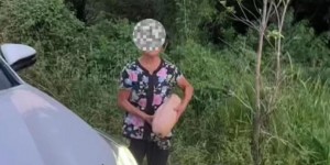 <?php the_title(); ?>