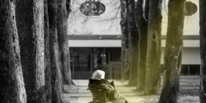 <?php the_title(); ?>