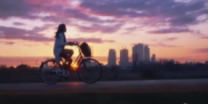 <?php the_title(); ?>