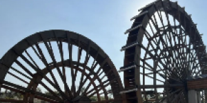 <?php the_title(); ?>