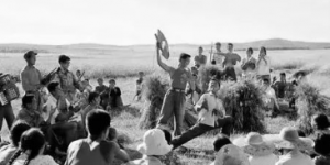 <?php the_title(); ?>