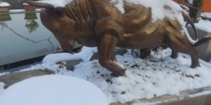 <?php the_title(); ?>