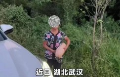 【众鑫娱乐】官方回应女子曝老人组团偷南瓜，投资百万让人抓狂