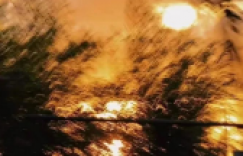 【众鑫娱乐】价值是伟大的词汇，每个人都期待。