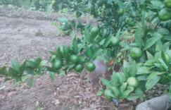 【众鑫娱乐】所有的相遇，都是恩泽。