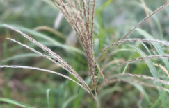 【众鑫娱乐】我当真觉得岁月如梭