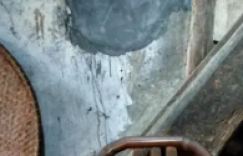 【众鑫娱乐】怀念外婆