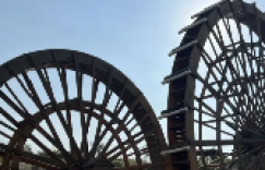 【众鑫娱乐】父辈们的爱情