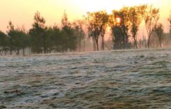 【众鑫娱乐】像最远的雪