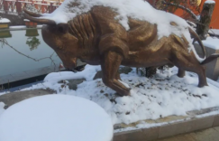 【众鑫娱乐】迁牛记