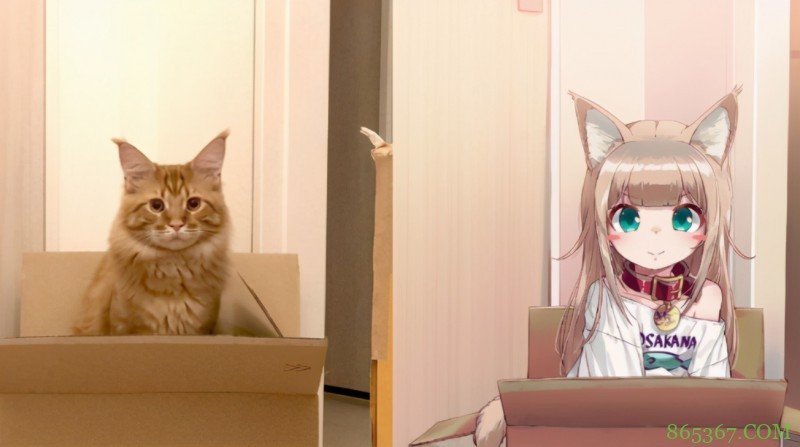 网友分享“吸猫”四大流派，不好意思，我是第五种：给我变派的