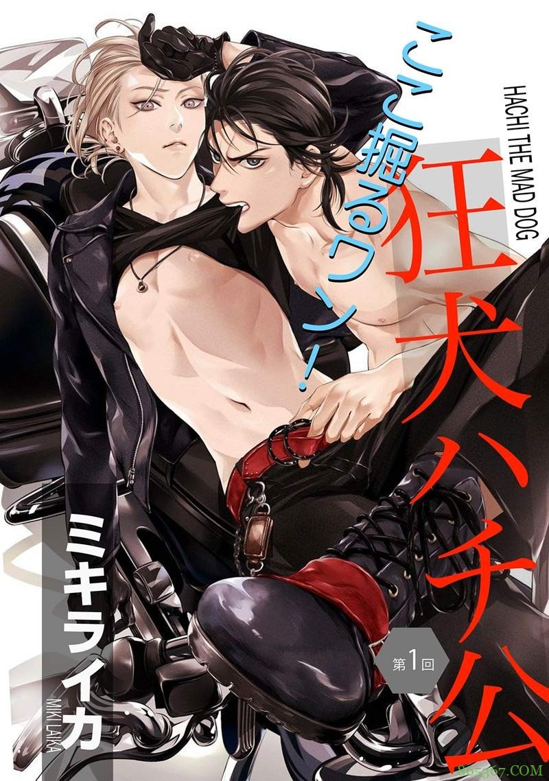 推荐3部BL漫画纯肉系 《狂犬八公》漫画堪称BL版《宠物情人》