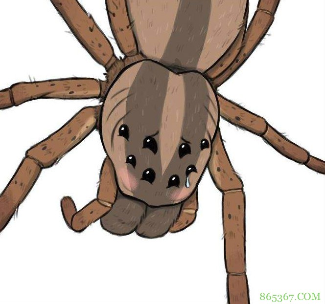 《小精灵与布鲁托》新作 漫画家Ben Hed分享退役军犬的过去