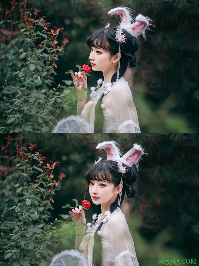 Lolita:坠落在人间的小兔子