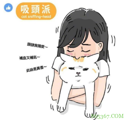 网友分享“吸猫”四大流派，不好意思，我是第五种：给我变派的