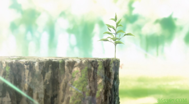 动漫似乎越发单调直白,观众需求反映出来的到底是进化还是退步?