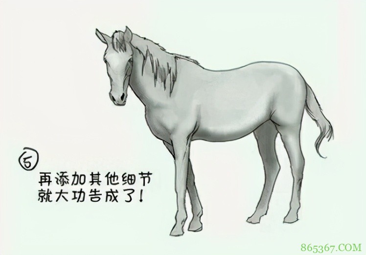 画师大佬分享画动漫美少女的方法:首先,你需要一颗青菜