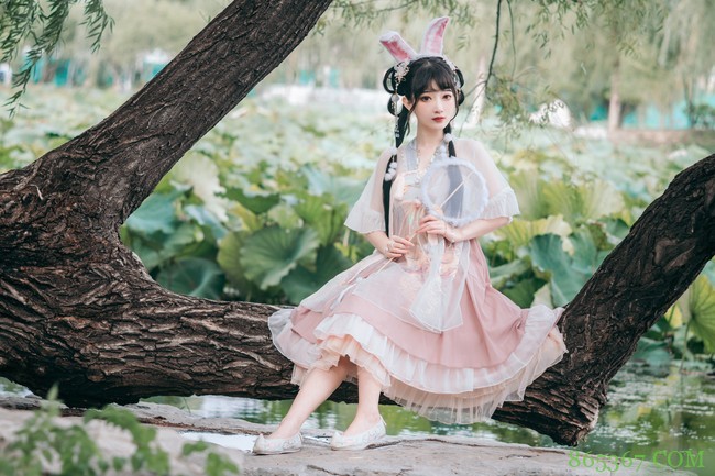 Lolita:坠落在人间的小兔子