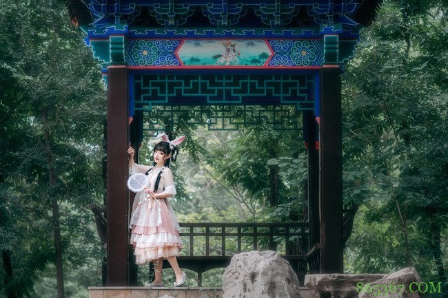 Lolita:坠落在人间的小兔子