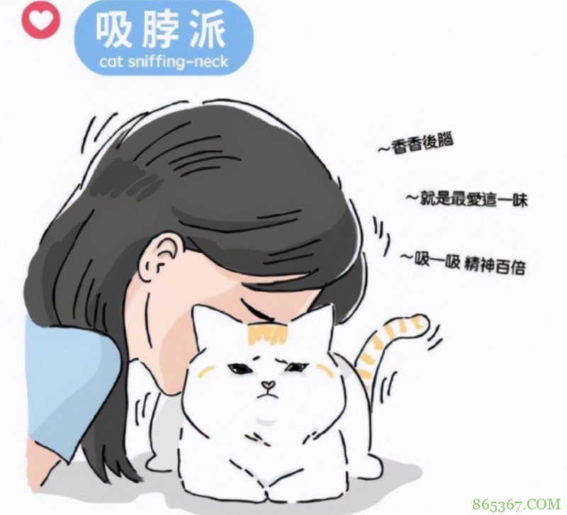 网友分享“吸猫”四大流派，不好意思，我是第五种：给我变派的