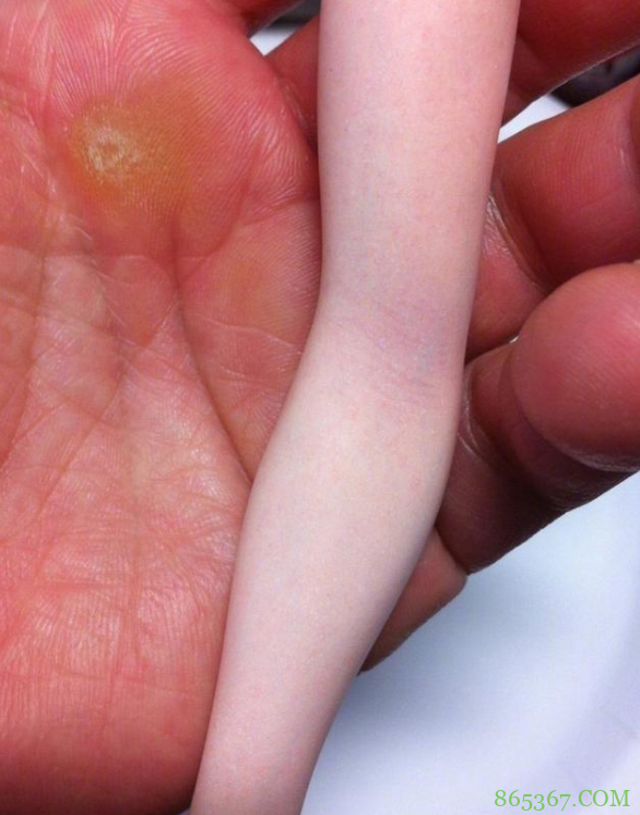 手办小白建议从景品入手,那种逼真到血管都清晰可见的就别想啦