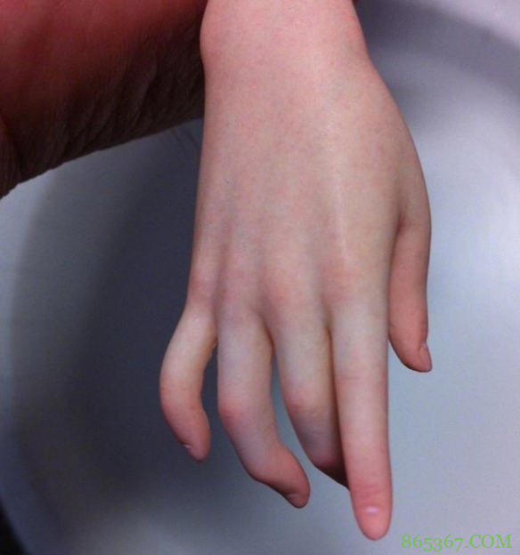 手办小白建议从景品入手,那种逼真到血管都清晰可见的就别想啦