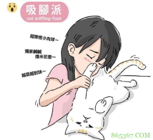 网友分享“吸猫”四大流派，不好意思，我是第五种：给我变派的