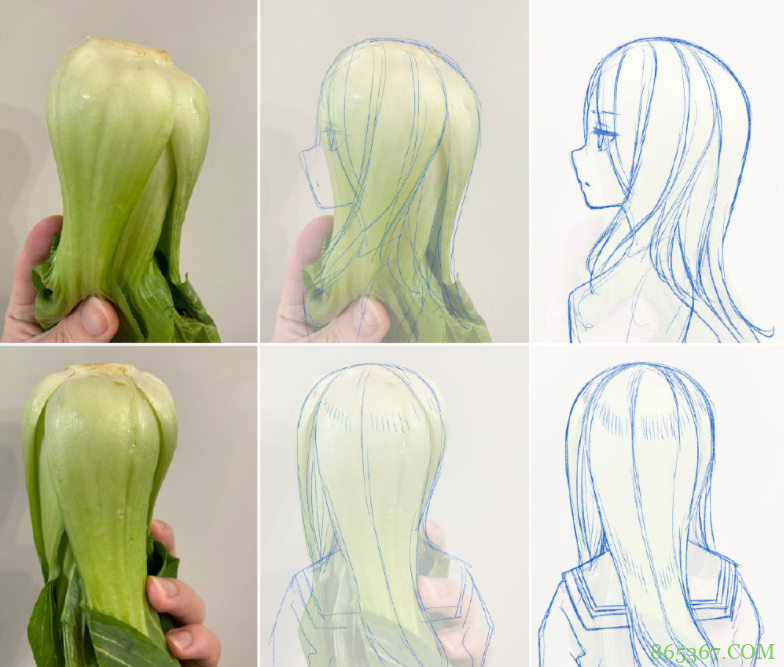 画师大佬分享画动漫美少女的方法:首先,你需要一颗青菜