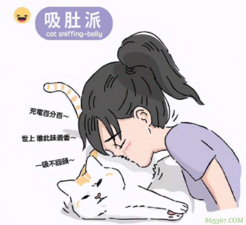 网友分享“吸猫”四大流派，不好意思，我是第五种：给我变派的