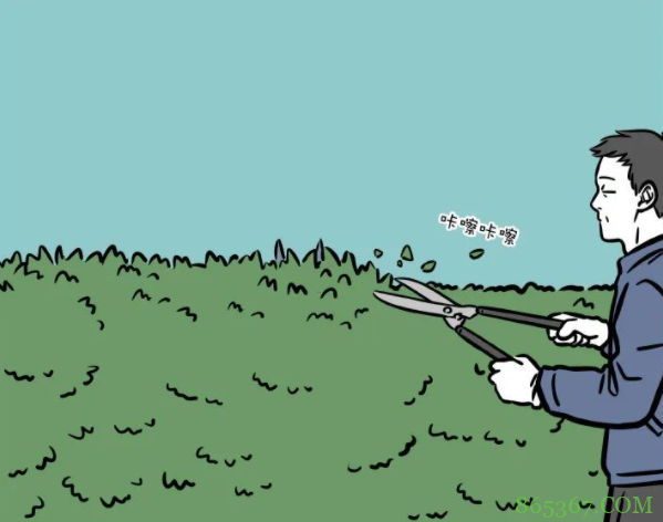 非人哉：本以为龙角很硬，结果剪刀都剪得断，用手都掰得下来