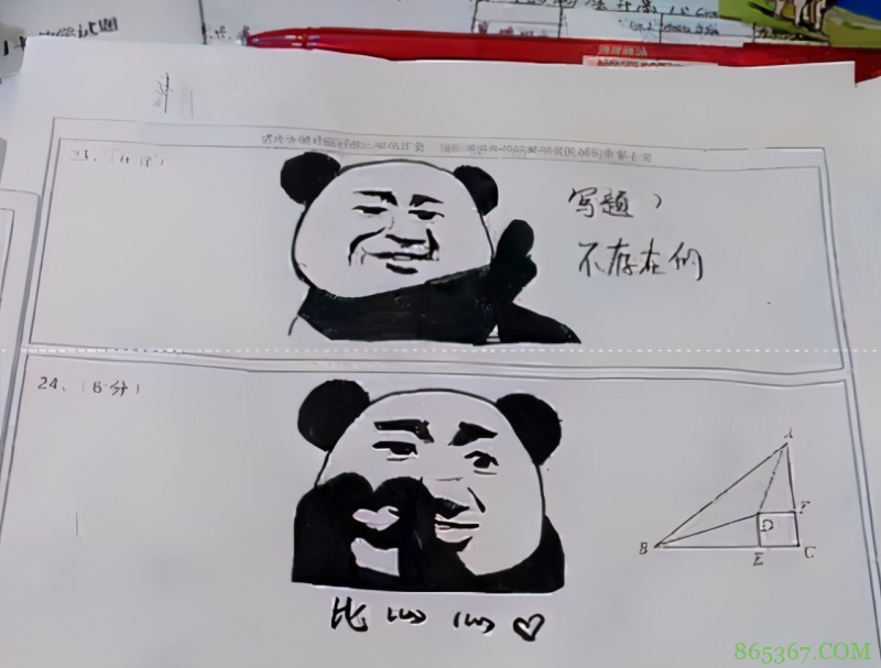 现在的考生太会玩,不仅在考卷上画JOJO,还画了个⑨寻找同类