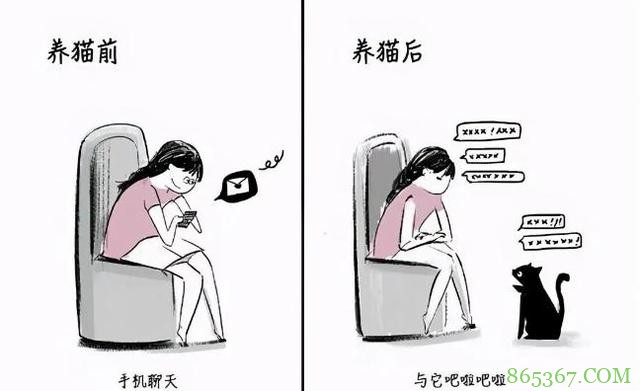 网友分享养猫前后的区别,感觉多了一位主子?痛并快乐着!