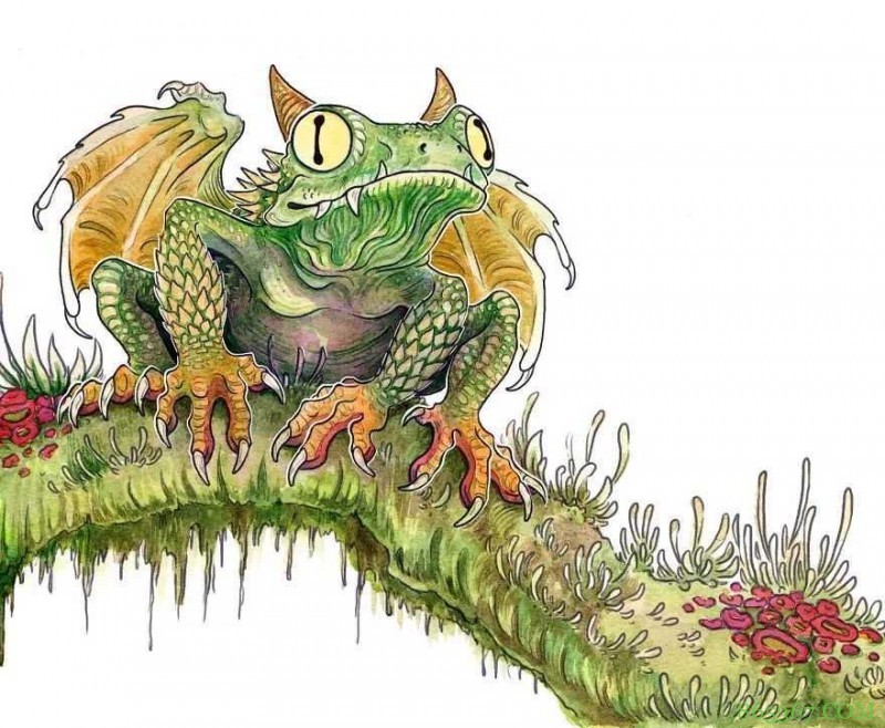 《威尔士怪兽与神兽》插画集 民间传说中的古怪生物