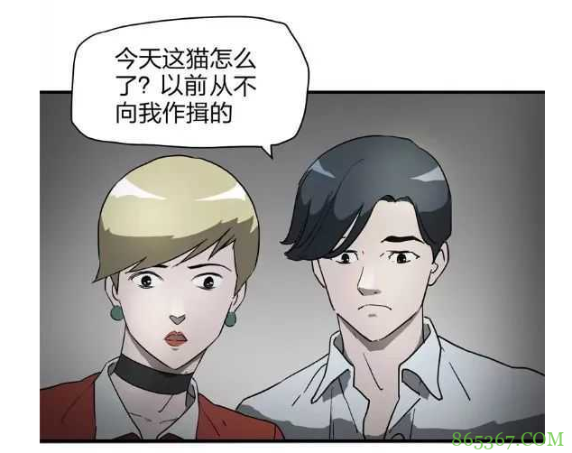 恐怖漫画《会作揖的黑猫》 饲主去世喵星人向主人闺蜜作揖令人惊悚