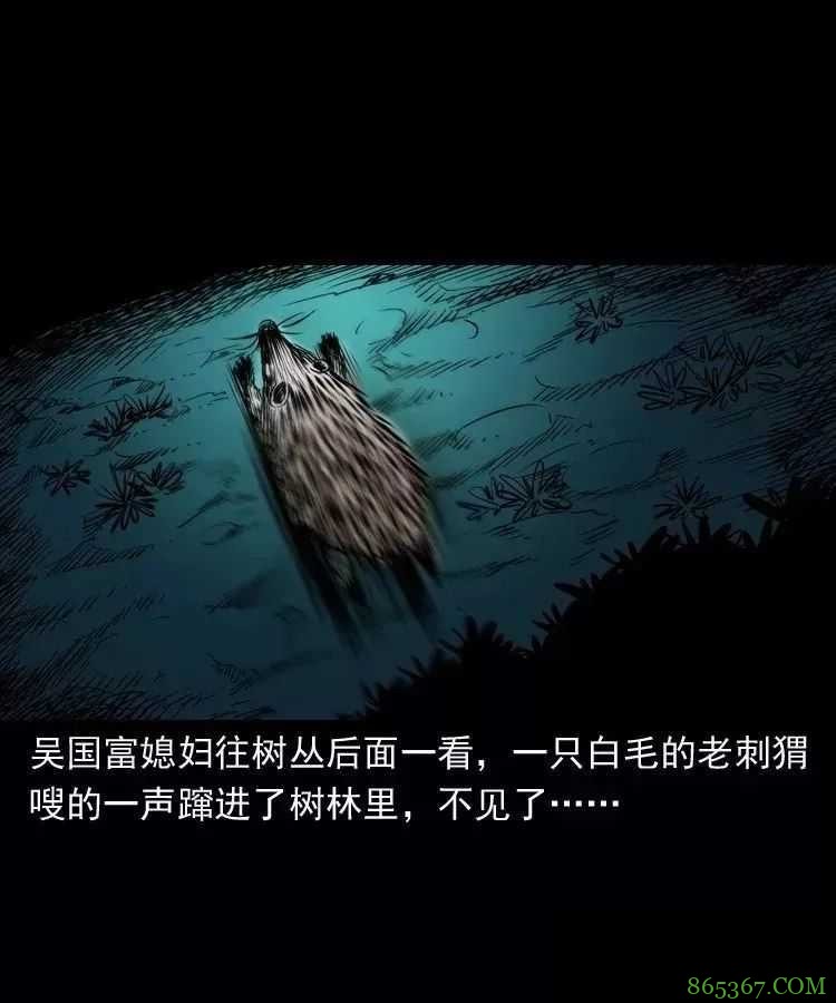 恐怖漫画推荐《吃刺猬的人》 为治怪病吃吃刺猬险丧命