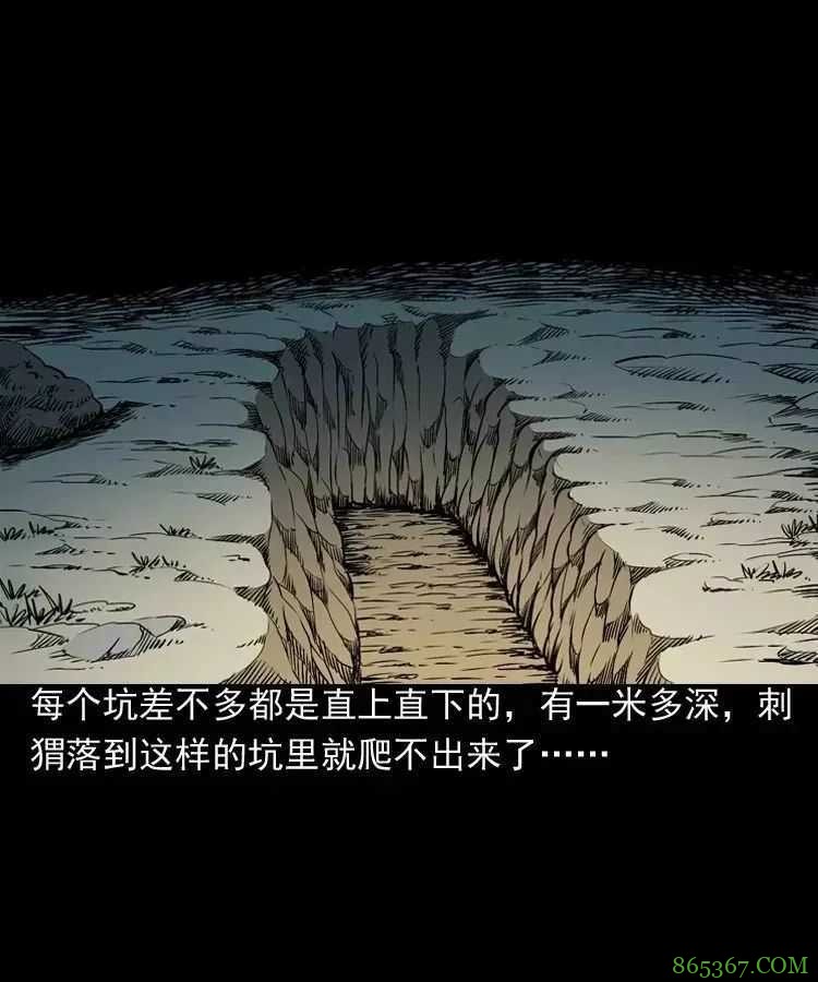 恐怖漫画推荐《吃刺猬的人》 为治怪病吃吃刺猬险丧命