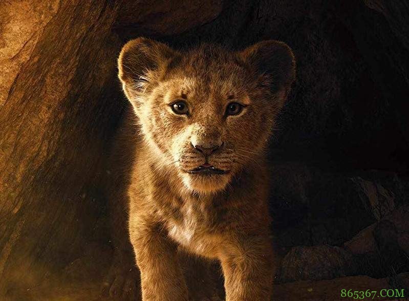 真人版《狮子王》预告片重现原版画面 导演温子仁回应为叫“真人版”