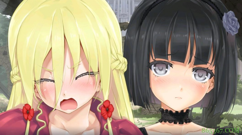 脸肿汉化组疑似没了?网友爆料各群已经解散,微博也删号了