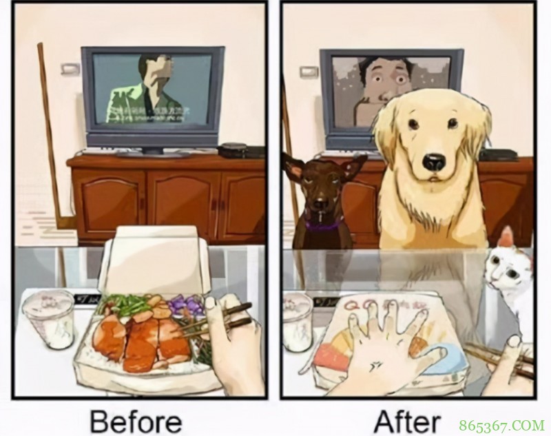 画师大佬分享养狗前后的区别，钱包越来越薄，惨遭狗子“拆家”