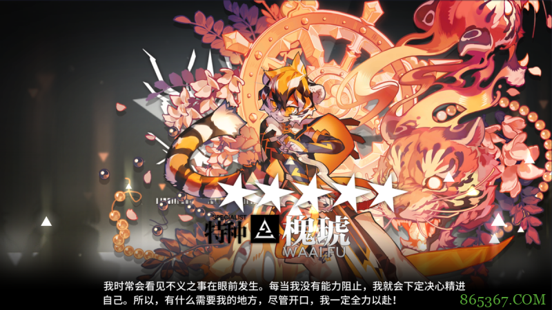 关于猫娘的那些趣事：猫娘有几只耳朵？猫娘和猫耳娘有什么区别？